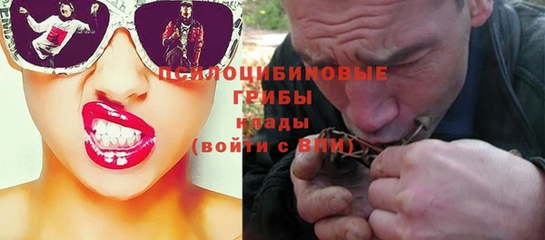 PSILOCYBIN Беломорск