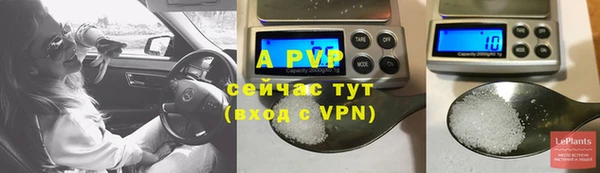 PSILOCYBIN Беломорск