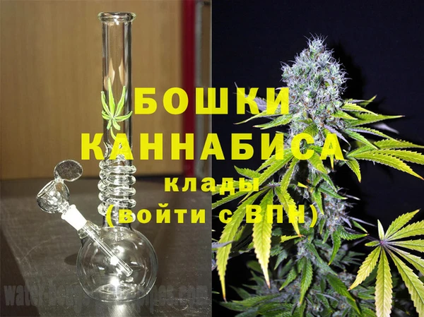 амф Белокуриха