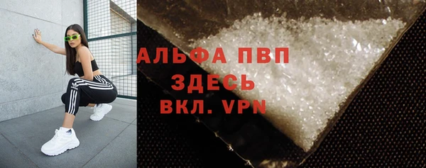 PSILOCYBIN Беломорск