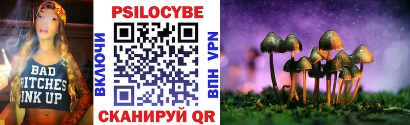 хочу наркоту  Кстово  Псилоцибиновые грибы Psilocybine cubensis 